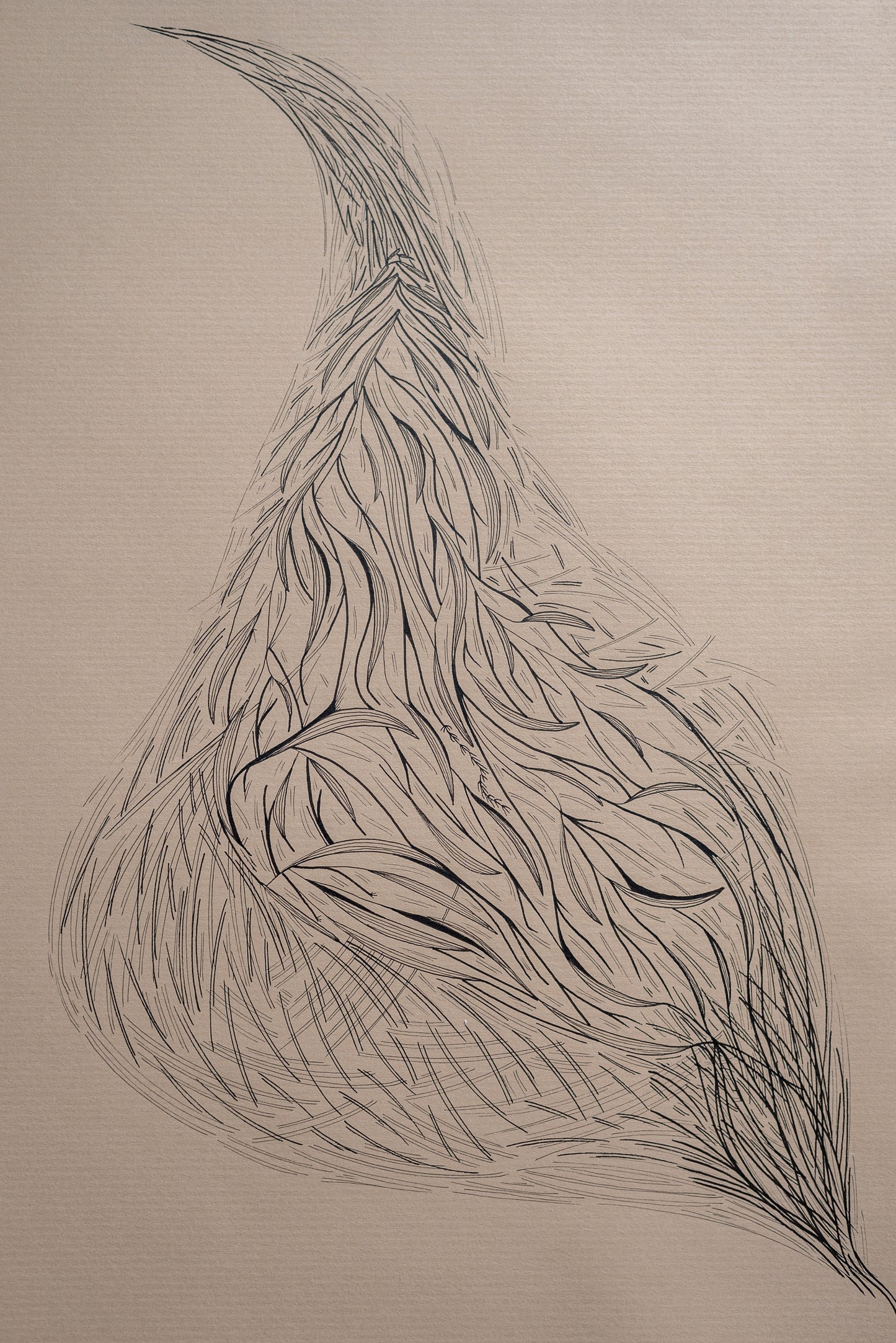 Tornade