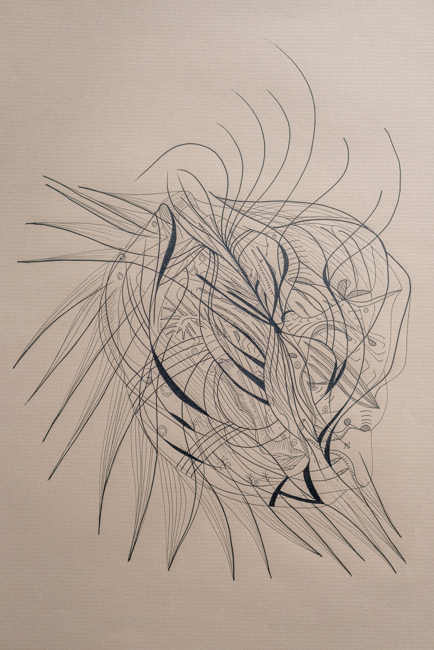Coeur