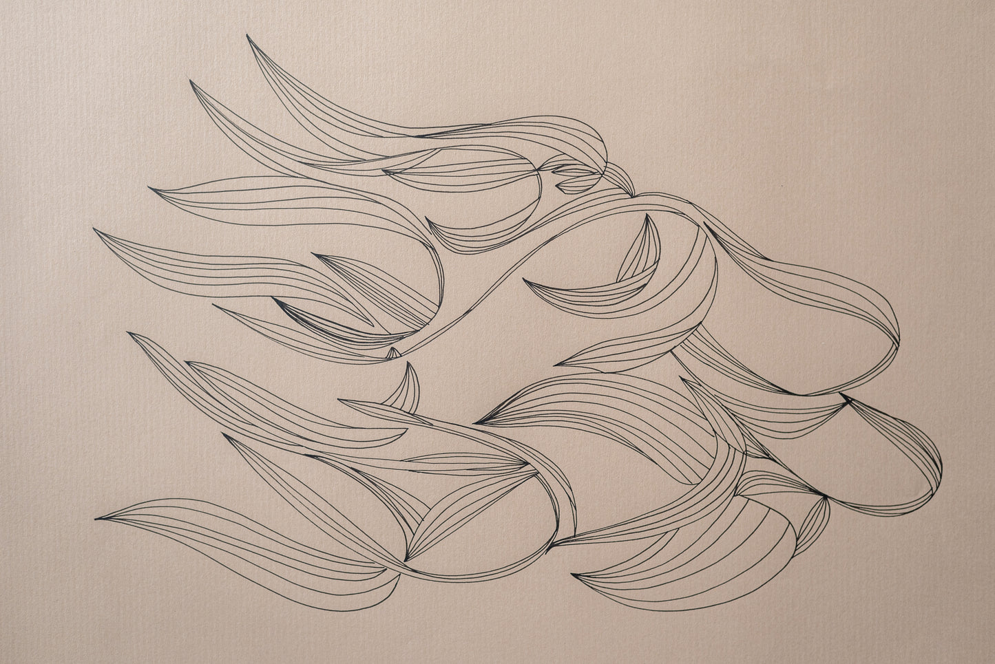 Feuilles